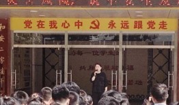 承天路小学爆料视频大全,校园生活瞬间回顾