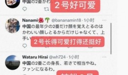 山东爆料新闻打什么电话,紧急热线电话助力真相大白