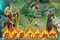 吕布爆料鸟哥视频播放全集,鸟哥视频全集深度解析