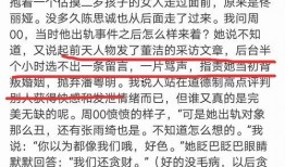 董洁内部爆料视频最新版,真相与争议并存