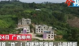 莲花县今日爆料新闻,揭秘今日热点事件背后的真相
