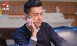 靳东爆料自己老婆视频播放,揭秘老婆视频播放背后的真相