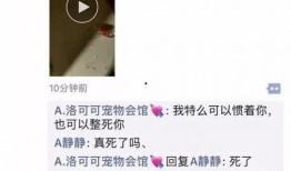 石家庄宠物店爆料视频,揭秘宠物行业背后真相