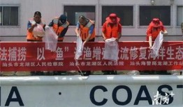 汕头龙湖区爆料案件最新,惊曝重大案件细节披露