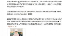 网红黑历史吃瓜视频,吃瓜视频背后的真相与反思