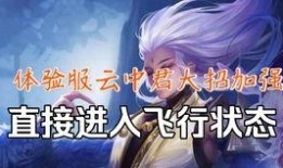 王者别闹新爆料视频下载,揭秘神秘英雄与全新玩法