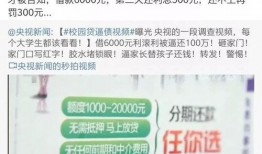学校爆料视频大全集最新,揭秘学校爆料视频大全集精彩瞬间