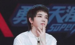 华晨宇被爆料视频完整版,揭秘背后真相与争议