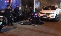 东丰物流爆料事件视频,揭秘背后真相与争议