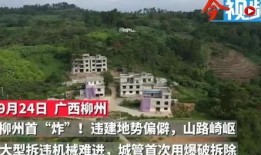 莲花县今日爆料新闻,揭秘今日热点事件背后的真相