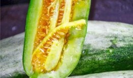 网红吃瓜今日热门吗