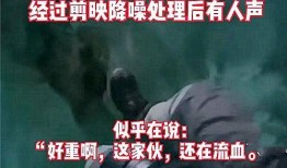 天涯爆料偷渡事件视频播放,天涯热议非法跨境生存真相