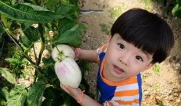 小桥吃瓜娱乐,揭秘娱乐圈幕后故事