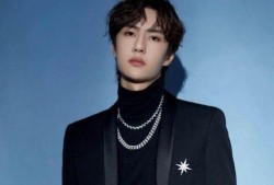 粉丝爆料王一博肖战视频,兄弟情深引网友热议