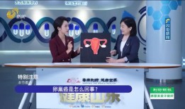 天津电台爆料新闻直播回放,揭秘事件真相与幕后故事