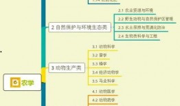 青岛烟草爆料视频大全集,揭露行业内幕与真相
