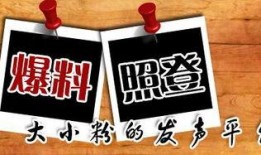 淡水新闻爆料,揭秘事件背后真相