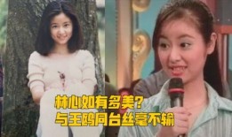 董洁内部爆料视频最新版,真相与争议并存