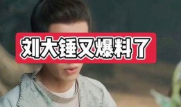 刘大锤爆料渣男视频播放,视频播放引发热议