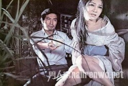供品夫人在线观看播放,在线观看，揭开神秘面纱的惊悚之旅