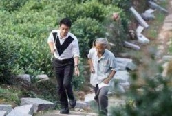 采茶老太爆料视频播放,揭秘茶叶市场背后真相