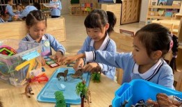 珠海幼儿园爆料新闻,紧急救援与后续调查展开