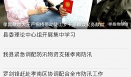 孝昌最新爆料新闻视频下载,视频揭露惊人真相，事件详情大揭秘