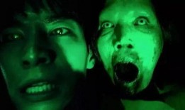 爆料恐怖事件视频播放在线观看,恐怖事件视频在线曝光，揭秘幕后真相