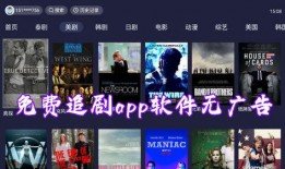 在线观看 没有广告,无广告在线观影之旅