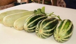 网红吃瓜今日热门吗