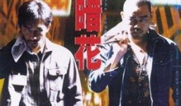 暗花电影 在线观看,揭秘网络暗流涌动的悬疑世界