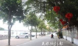 西安双竹村最新爆料新闻