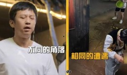 杨爸爆料视频大全最新,揭秘娱乐圈幕后真相