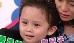 狄莺和儿子爆料了吗视频,狄莺儿子爆料视频引发热议
