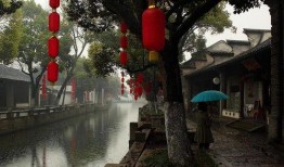 小桥吃瓜娱乐,揭秘娱乐圈幕后故事