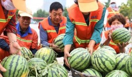 临沂网红吃瓜现场,揭秘网络红人幕后故事