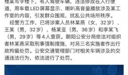 枞阳黑粉爆料案件最新