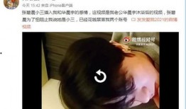 华晨宇被爆料视频完整版,揭秘背后真相与争议
