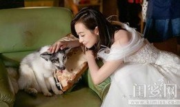宋茜爆料结局视频,揭秘剧情高潮与感人泪点