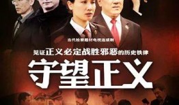 守望正义电视剧全集在线观看,全集剧情回顾，正义之光照亮黑暗角落