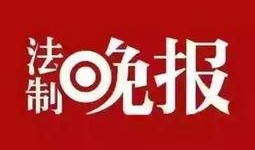 串班爆料小故事视频,揭秘校园里的那些小故事