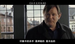 杀手没有假期在线观看,在线观影，揭秘暗影世界