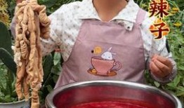 硬哥美食爆料视频大全,揭秘视频大全中的美味诱惑