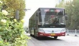 沧州公交车爆料视频最新,爆料视频揭示运营现状与乘客心声