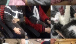 养猫的野男孩爆料视频,野男孩爆料视频背后的真实生活