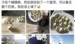 家政阿姨爆料视频大全集,揭秘家政行业背后的真实故事