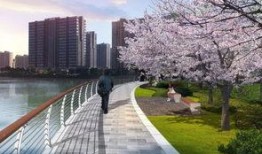 活力岛最新爆料,揭秘神秘岛屿的奇幻之旅