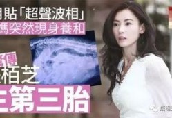 张柏芝狗仔爆料视频大全,揭秘娱乐圈幕后真相