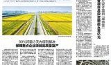 杭州湾新闻爆料找谁举报,揭秘如何有效举报线索