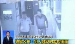 哈尔滨爆料曝光事件视频,真相揭开，震惊公众！
